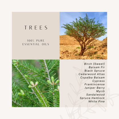 Trees | 100% Pure Essential Oils