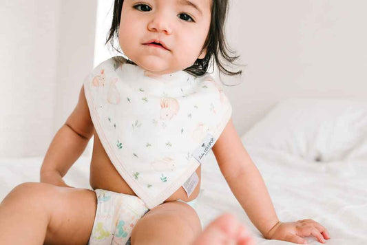 Bandana Bib Set - 2 Pack - Bunny Meadow
