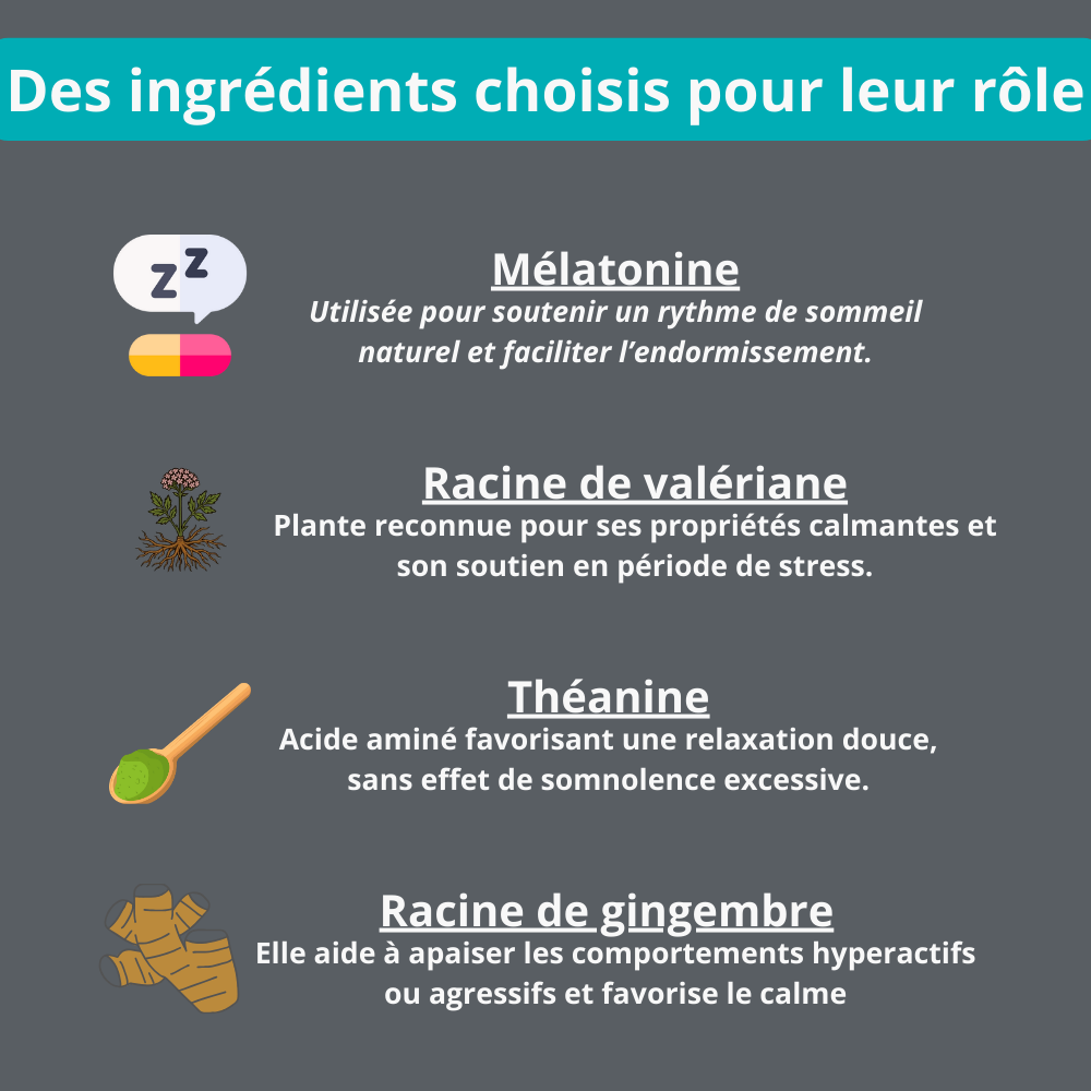 Gâterie calmante pour chien