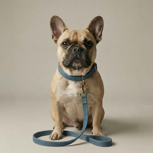 Denim Leash