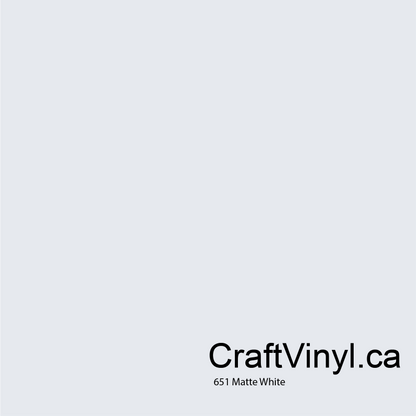 Oracal 651 Matte White #010 sheets and rolls
