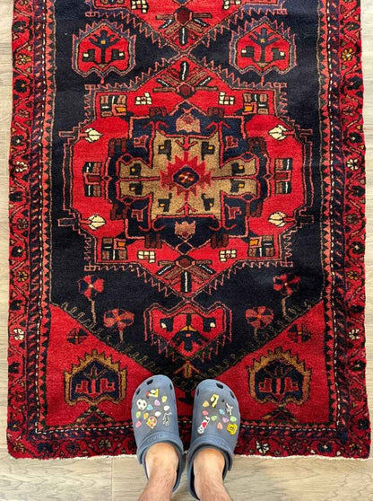 Persian Hamadan Runner Rug | 3' 3" x 9' 10"