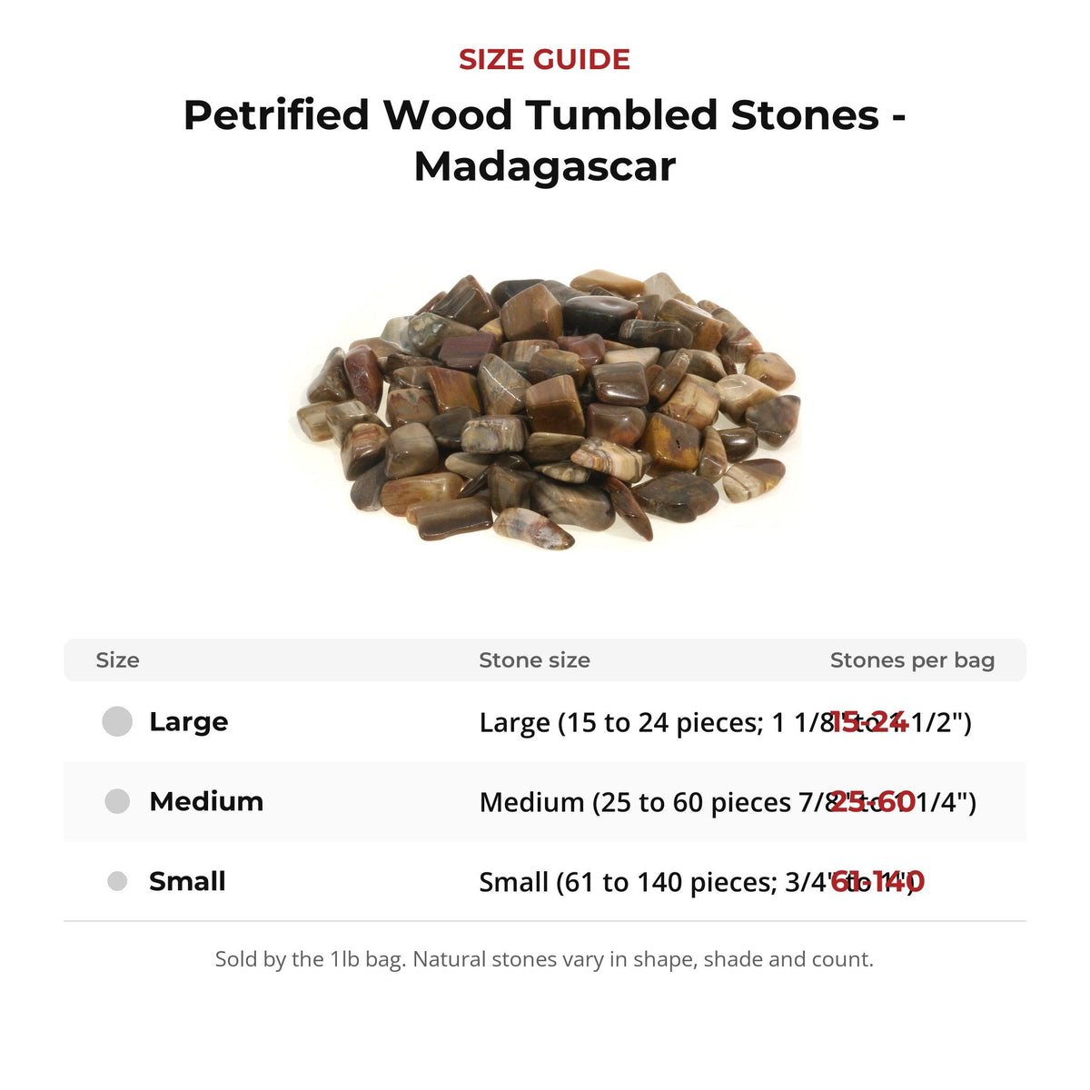 Petrified Wood Tumbled Stones - Madagascar