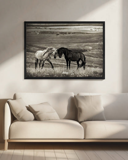 Wall art close encounter