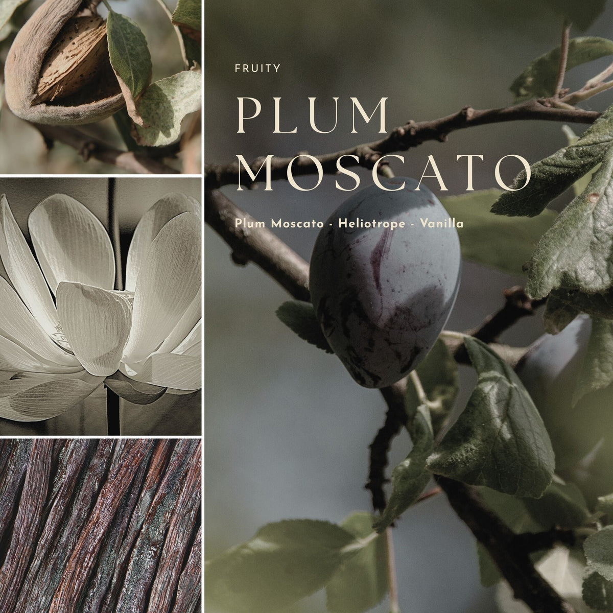 Gourmand, Fruit & Citrus Fragrance Mist