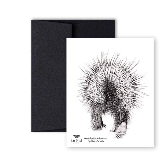 Porcupine front and back Greeting Card