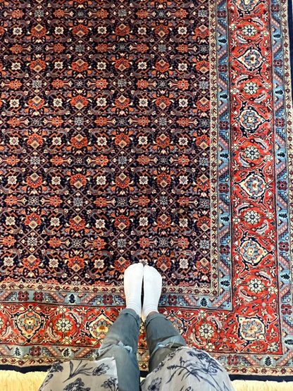 Persian Sarouk Rug | 10' 6" x 7' 5"