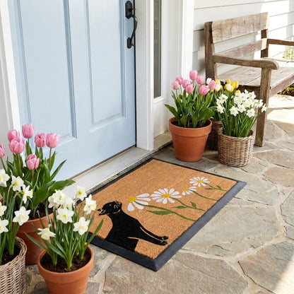spring kitty rectangular doormat set