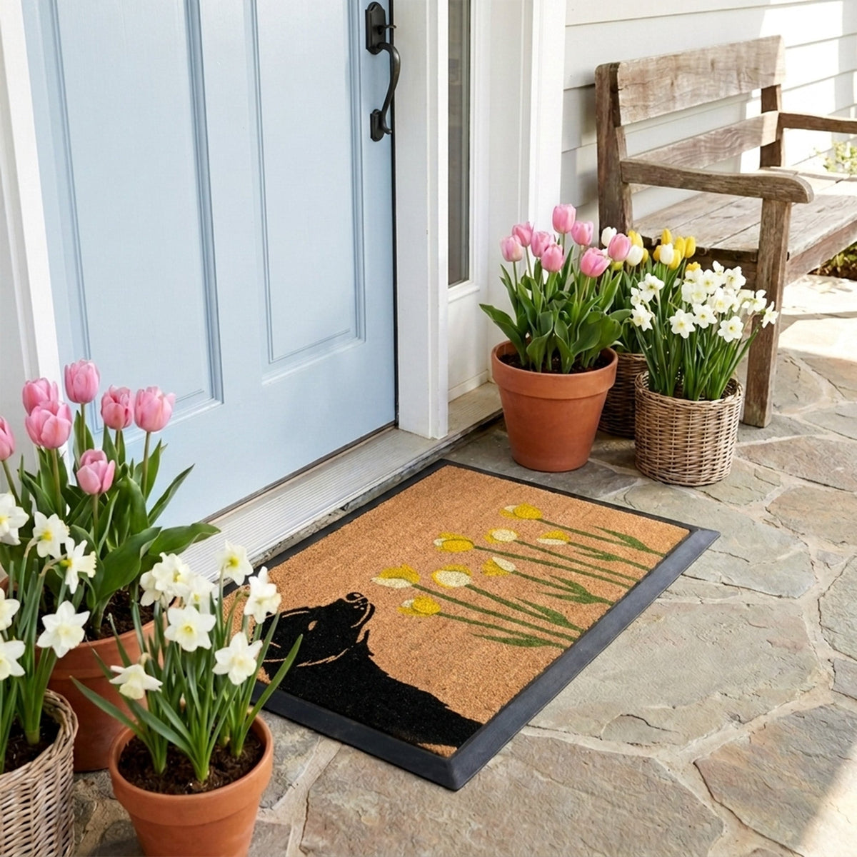 spring dog rectangular doormat set