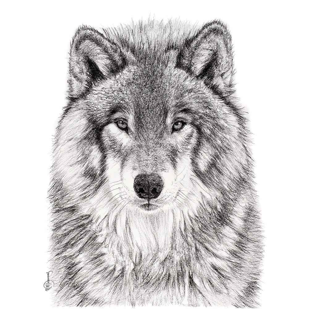 The Wolf Greeting Card