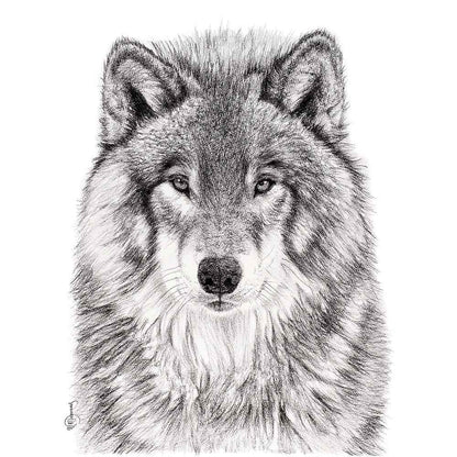 The Wolf Greeting Card