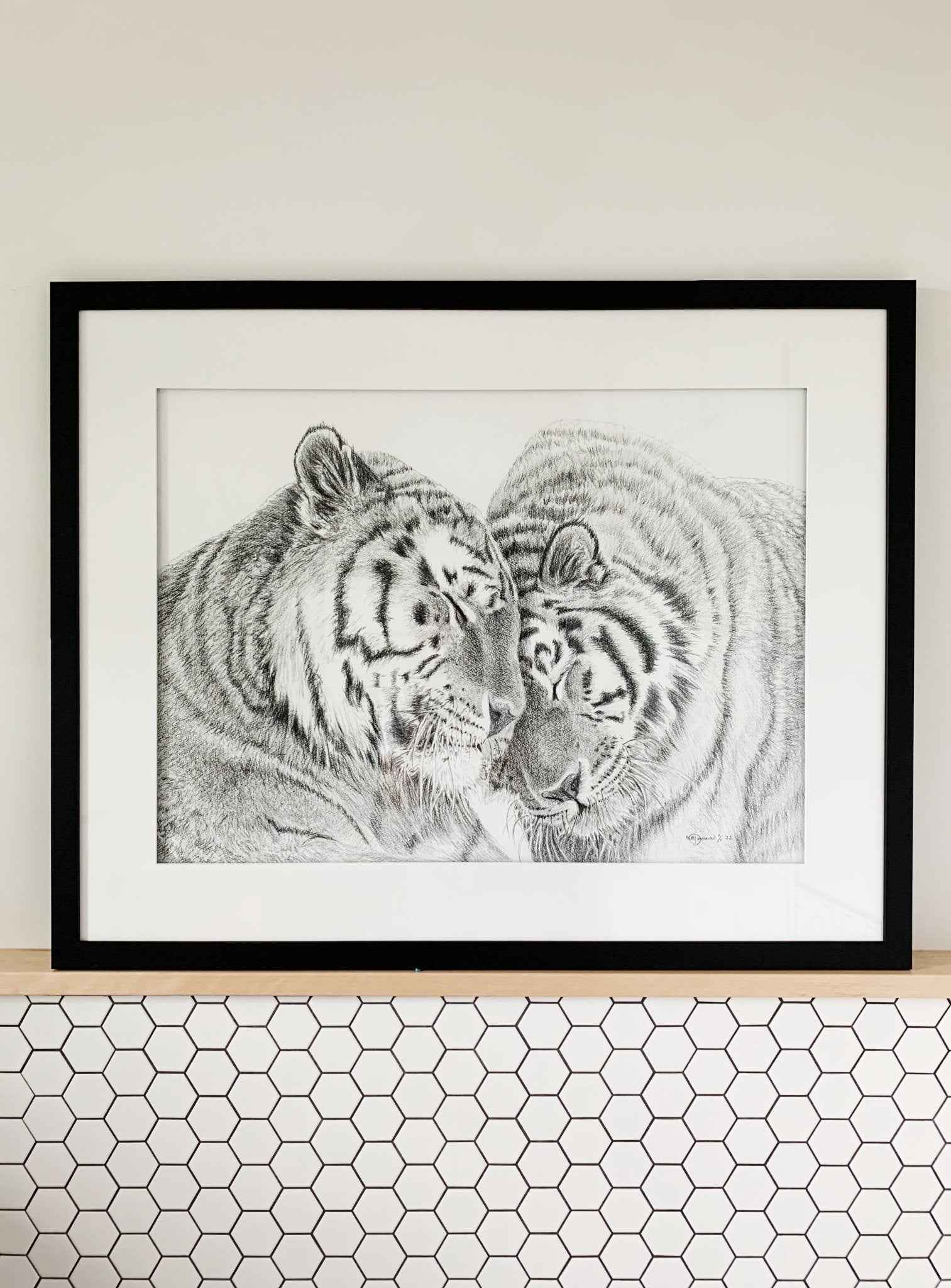 Amur Tigers - wildlife art print - collaboration with  La Fondation du Zoo de Granby