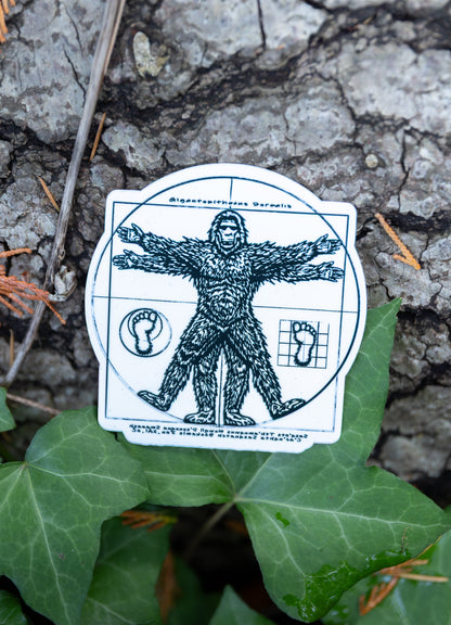 VITRUVIAN SASQUATCH Eco Vinyl Sticker